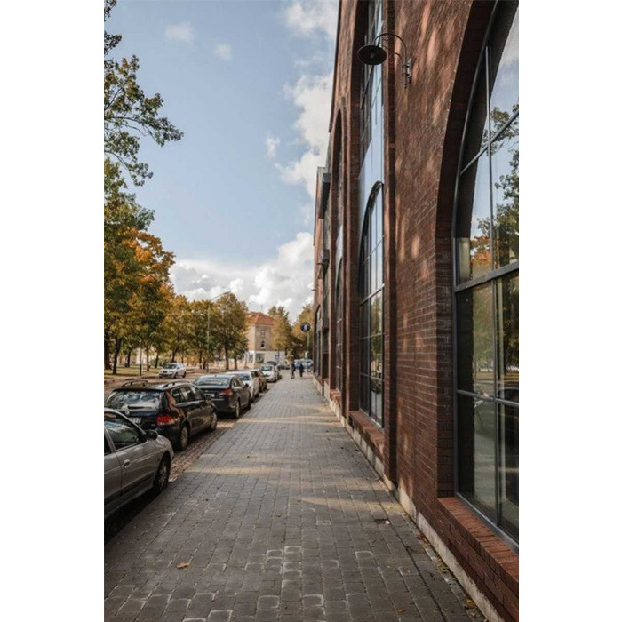 Кирпич клинкерный Terca Tallin, 250х85х65 мм фото 9