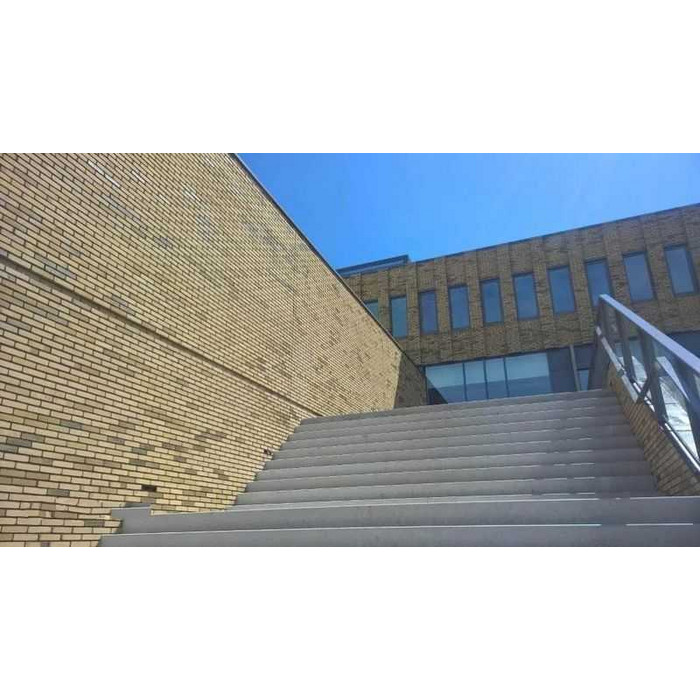 Кирпич облицовочный Terca Teunisbloem, 210х100х50 мм фото 5