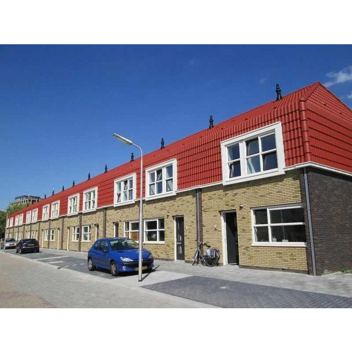 Кирпич облицовочный Terca Teunisbloem, 210х100х50 мм фото 6