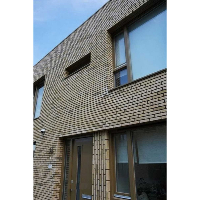 Кирпич облицовочный Terca Teunisbloem, 210х100х50 мм фото 3