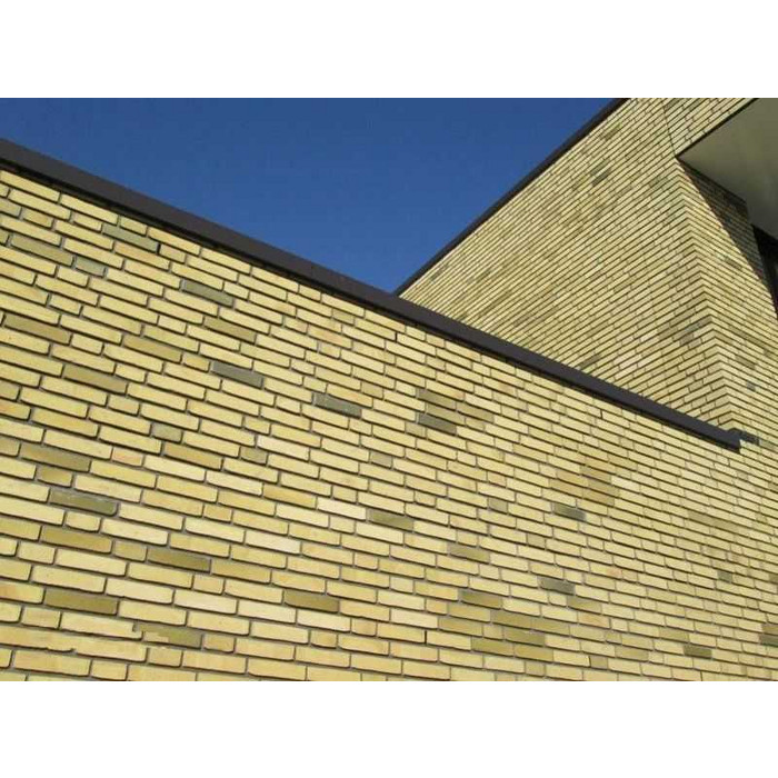 Кирпич облицовочный Terca Teunisbloem, 210х100х50 мм фото 10