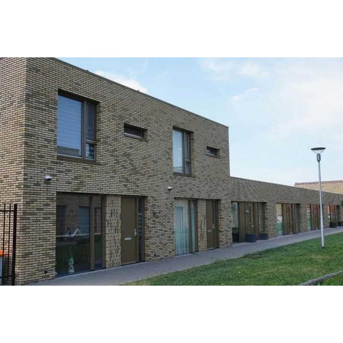 Кирпич облицовочный Terca Teunisbloem, 210х100х50 мм фото 2