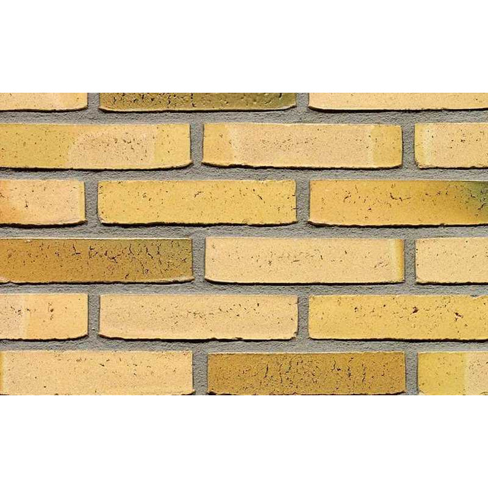 Кирпич облицовочный Terca Teunisbloem, 210х100х50 мм