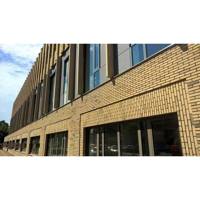 Кирпич облицовочный Terca Teunisbloem, 210х100х50 мм фото 4