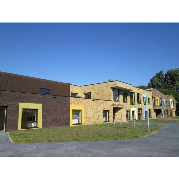 Кирпич облицовочный Terca Teunisbloem, 210х100х50 мм фото 8