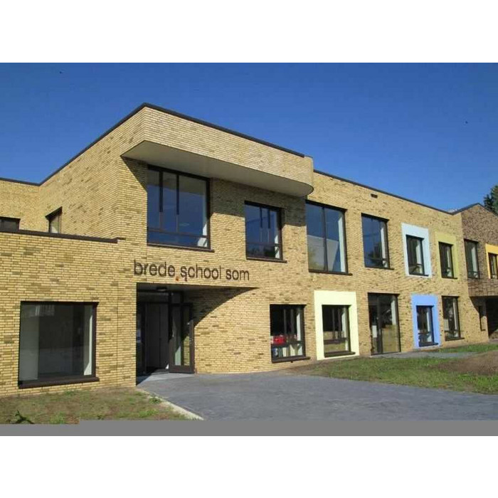 Кирпич облицовочный Terca Teunisbloem, 210х100х50 мм фото 9