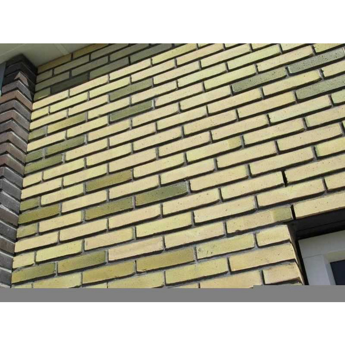 Кирпич облицовочный Terca Teunisbloem, 210х100х50 мм фото 7