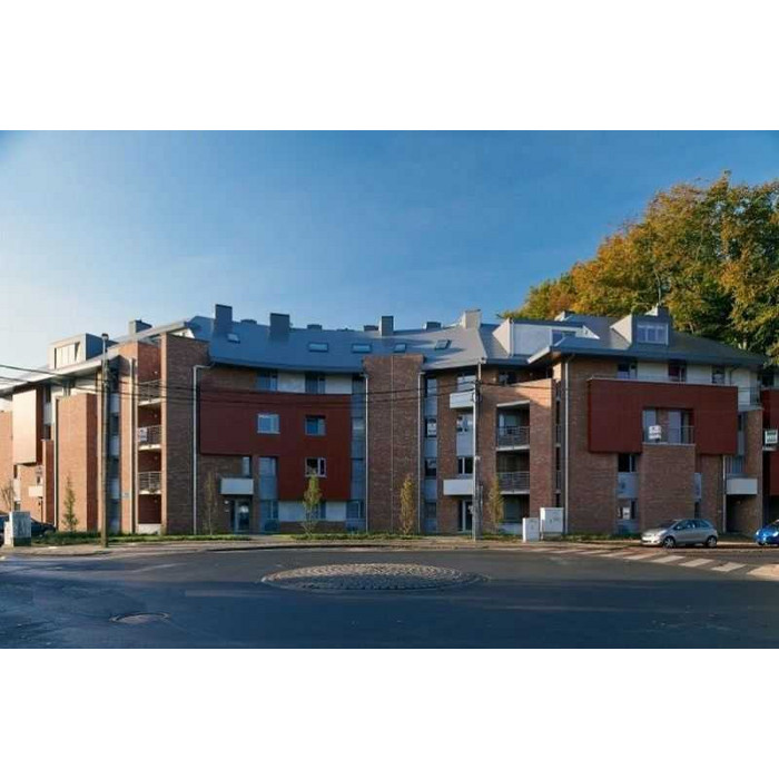 Кирпич облицовочный Terca Oud Rieme, 215х102х65 мм фото 6