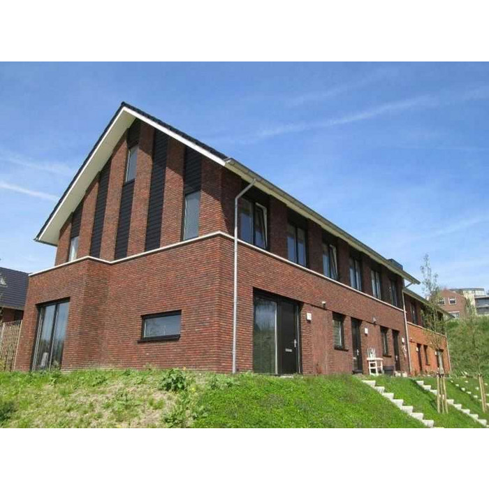 Кирпич облицовочный Terca Rutiel, 210х100х50 мм фото 2