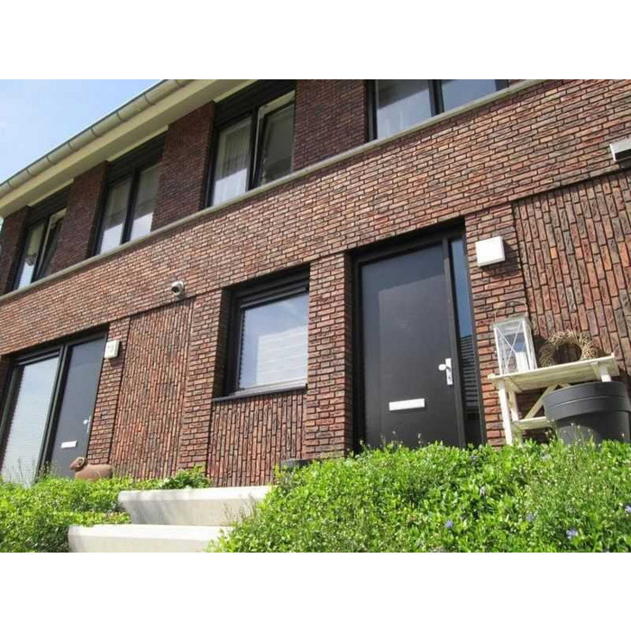 Кирпич облицовочный Terca Rutiel, 210х100х50 мм фото 7