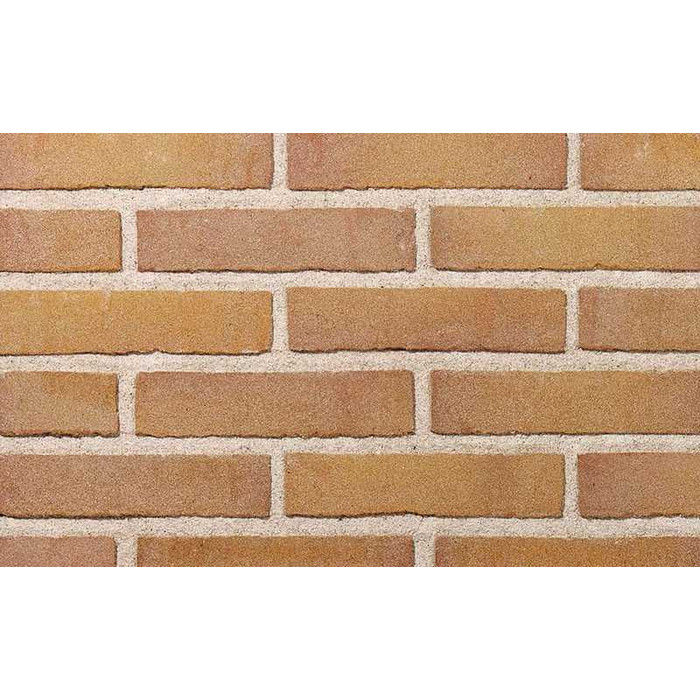 Кирпич облицовочный Terca Beigerood, 210х100х50 мм