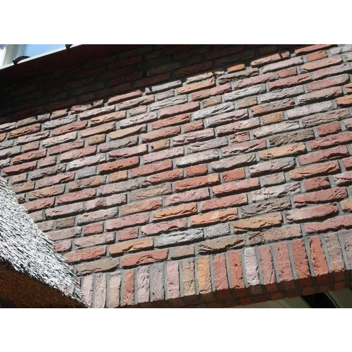 Кирпич облицовочный Terca Ringoven Paarsblauw, 208х98х63 мм фото 7