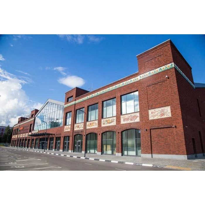 Кирпич клинкерный Terca Gotland, 250х85х65 мм фото 10