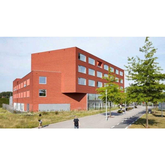 Кирпич облицовочный Terca Marono Rood Extra, 288х88х48 мм фото 4