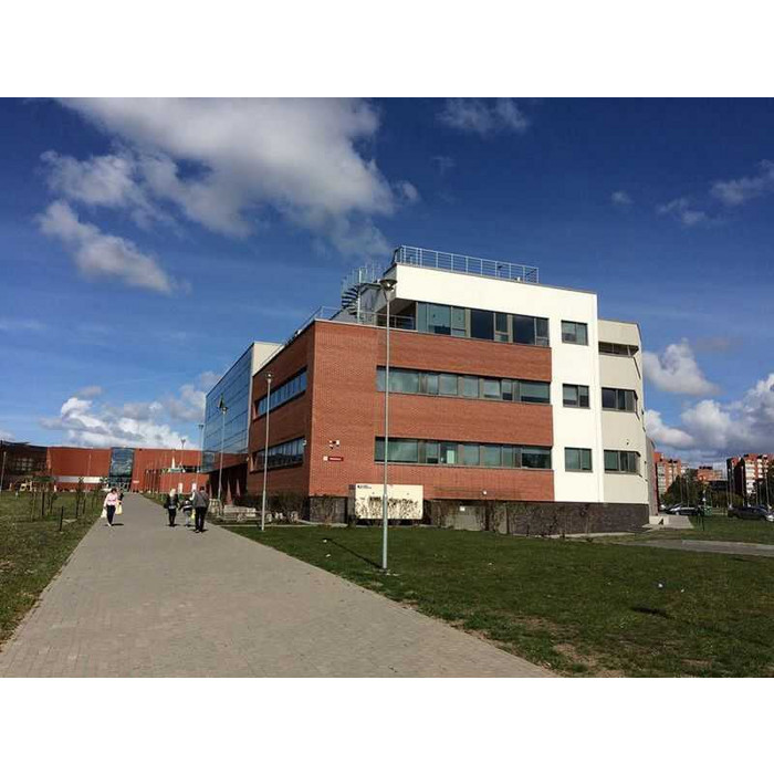 Кирпич клинкерный Terca Nordic Klinker Line Stockholm, 250х85х65 мм фото 5