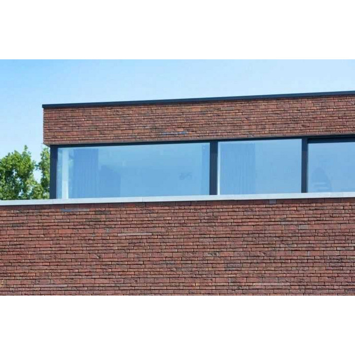 Кирпич облицовочный Terca Blauw-Rood Genuanceerd, 210х100х50 мм фото 10