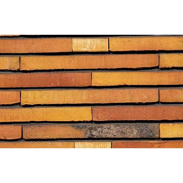 Кирпич облицовочный Terca Prisma, 400х100х40 мм