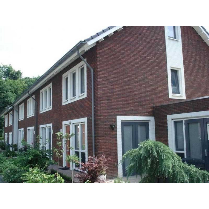 Кирпич облицовочный Terca Altair, 210х100х50 мм фото 10