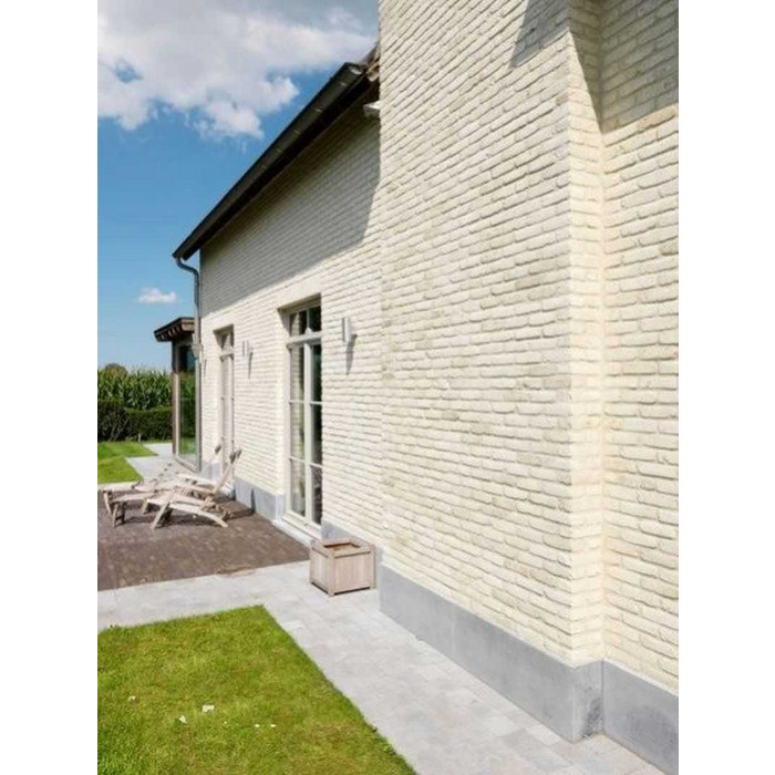 Кирпич облицовочный Terca Duifwit, 188х88х48 мм фото 5