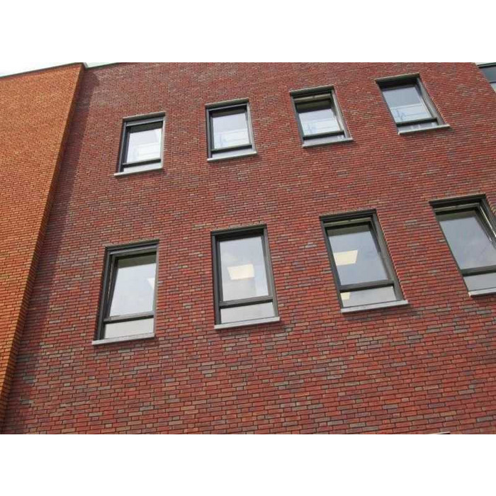 Кирпич облицовочный Terca Avior (AVIOR WF HV), 210х100х50 мм фото 6