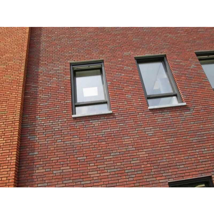 Кирпич облицовочный Terca Avior (AVIOR WF HV), 210х100х50 мм фото 7