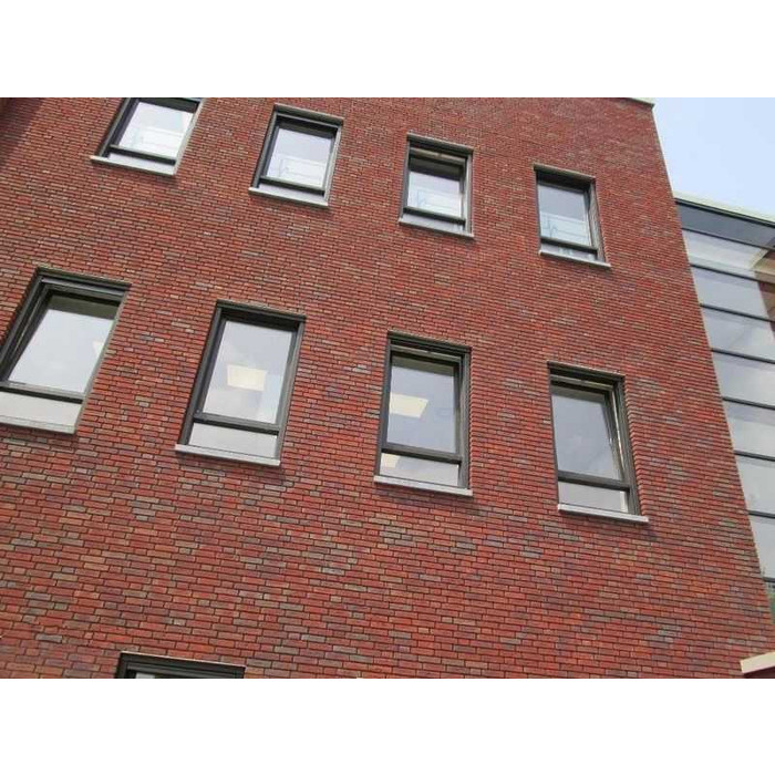 Кирпич облицовочный Terca Avior (AVIOR WF HV), 210х100х50 мм фото 8