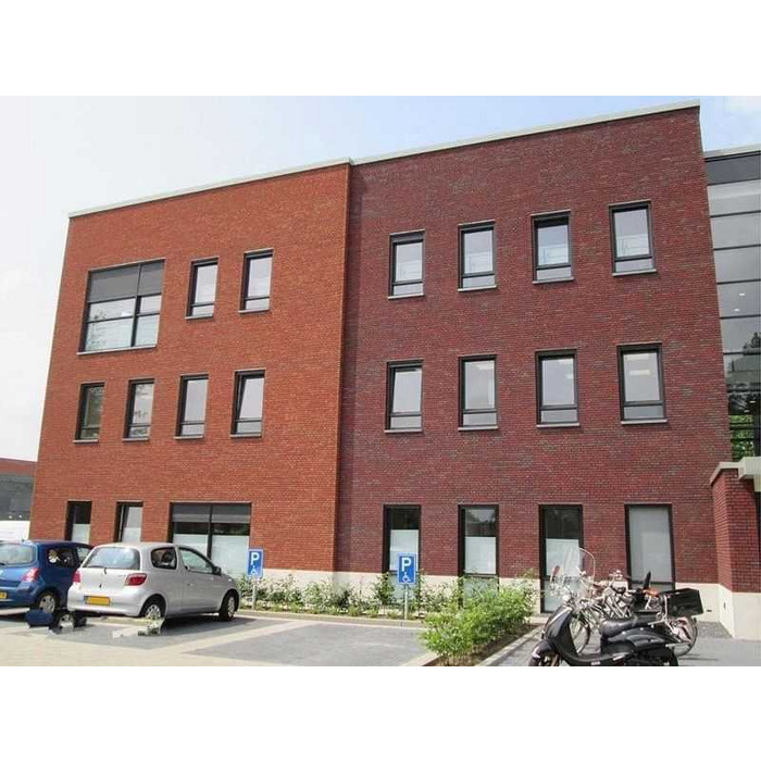 Кирпич облицовочный Terca Avior (AVIOR WF HV), 210х100х50 мм фото 4