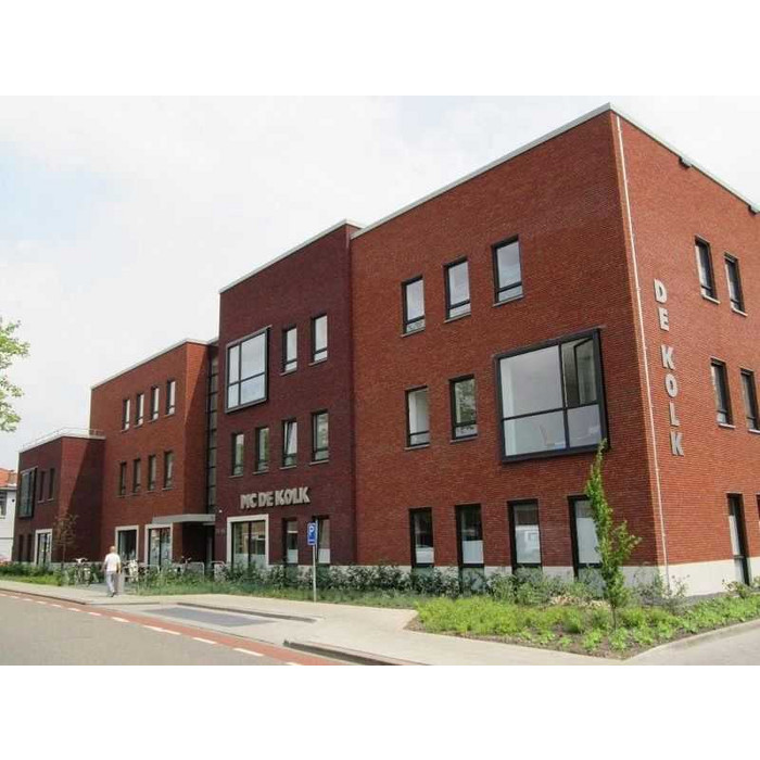 Кирпич облицовочный Terca Avior (AVIOR WF HV), 210х100х50 мм фото 5