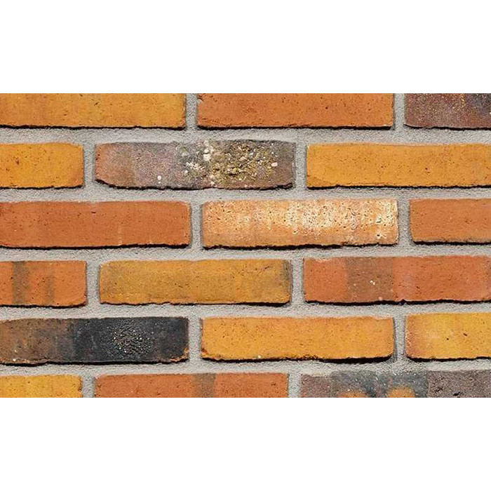 Кирпич облицовочный Terca Prisma, 210х100х40 мм