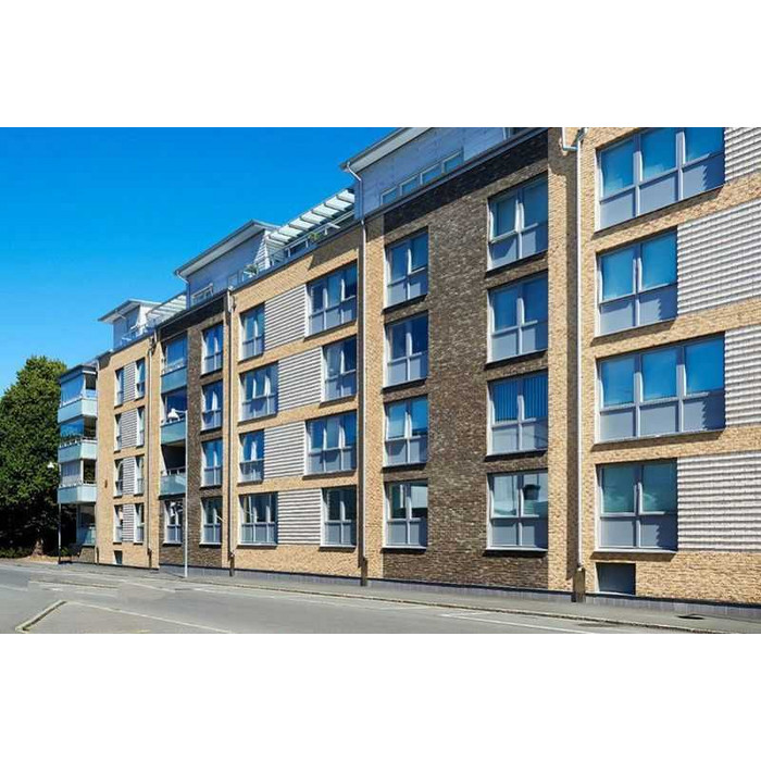 Кирпич облицовочный Terca Lichtbrons Gesinterd, 210х100х50 мм фото 6