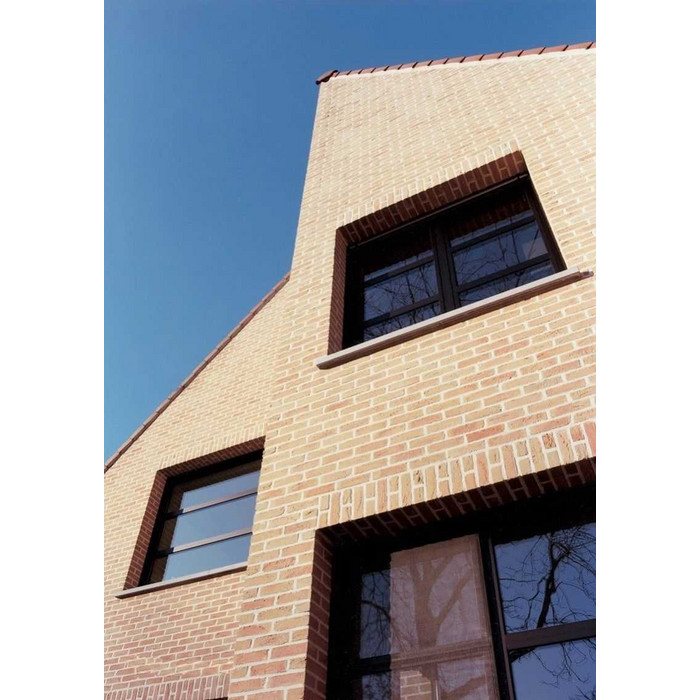 Кирпич облицовочный Terca Appelbloesem, 215х102х65 мм фото 3