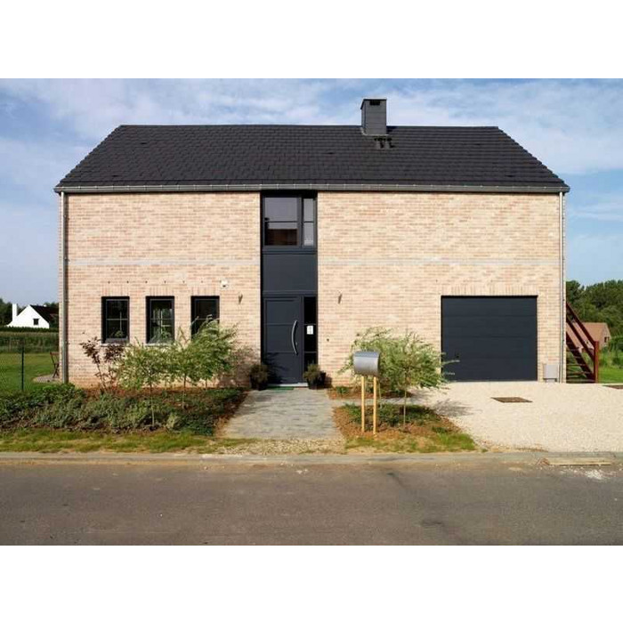 Кирпич облицовочный Terca Appelbloesem, 215х102х65 мм фото 2