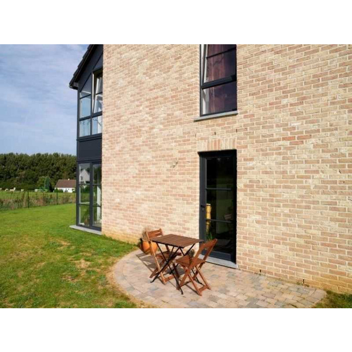 Кирпич облицовочный Terca Appelbloesem, 215х102х65 мм фото 10