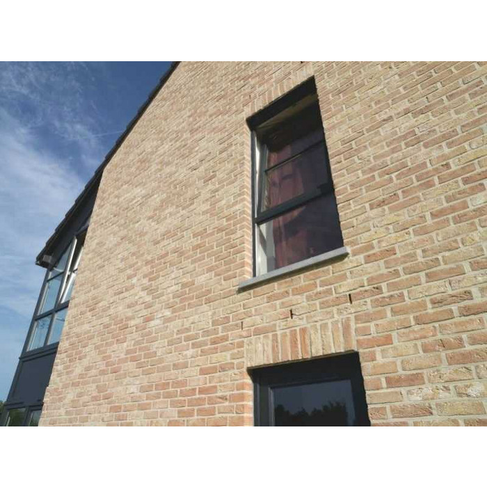 Кирпич облицовочный Terca Appelbloesem, 215х102х65 мм фото 5