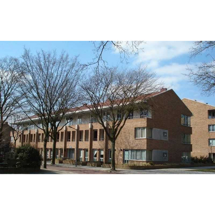 Кирпич облицовочный Terca Akelei Handvorm, 210х100х50 мм фото 2