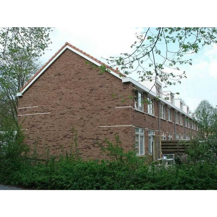 Кирпич облицовочный Terca Akelei Handvorm, 210х100х50 мм фото 10