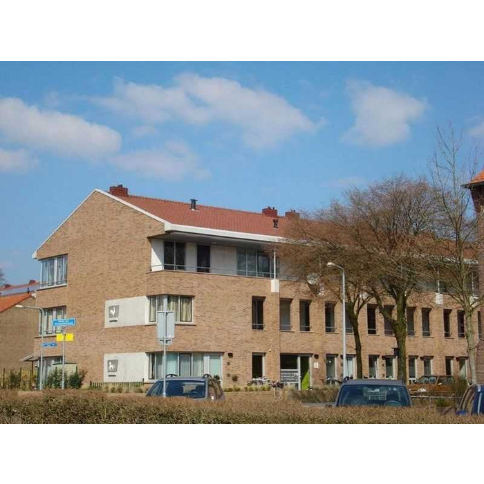 Кирпич облицовочный Terca Akelei Handvorm, 210х100х50 мм фото 5