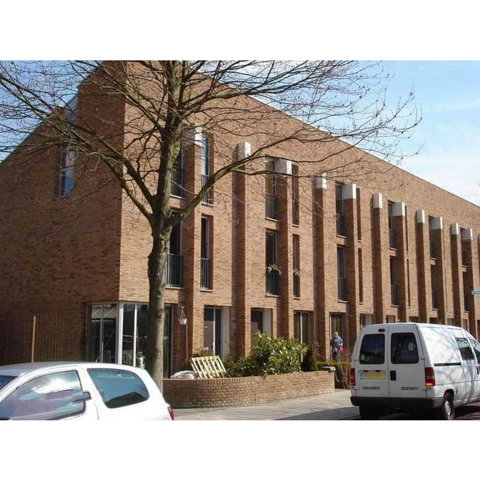 Кирпич облицовочный Terca Akelei Handvorm, 210х100х50 мм фото 6