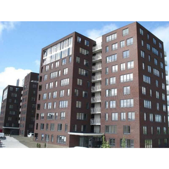 Кирпич облицовочный Terca Blauw-Rood Genaunceerd Gesinterd, 210х100х50 мм фото 2