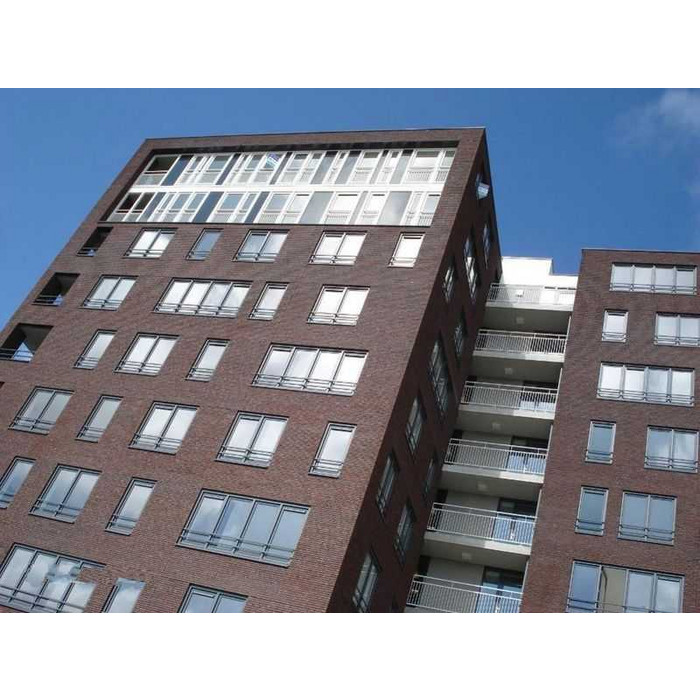 Кирпич облицовочный Terca Blauw-Rood Genaunceerd Gesinterd, 210х100х50 мм фото 3