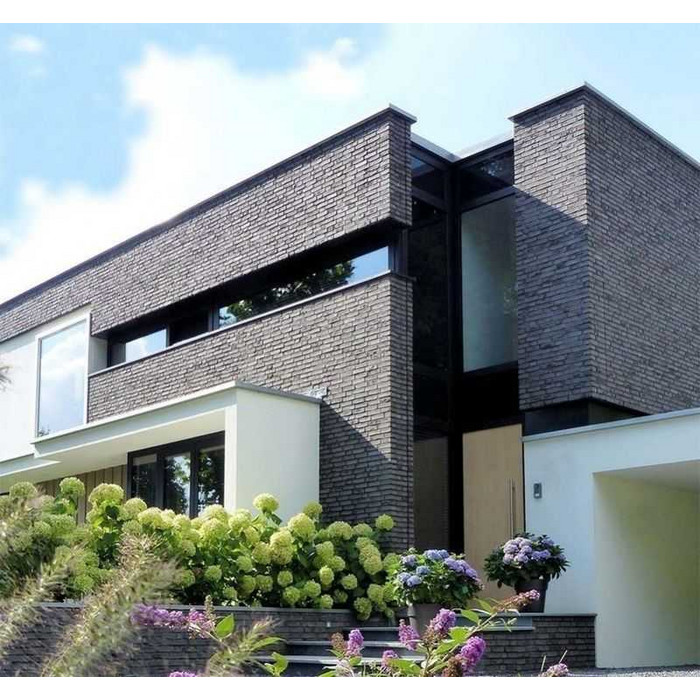 Кирпич облицовочный Terca Darwin Falls Multi 210х100х50 мм фото 2