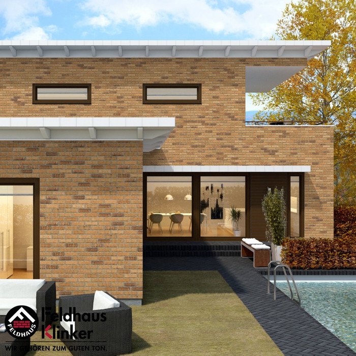 Кирпич клинкерный Feldhaus Klinker K665 sintra sabioso binaro 215х102х65 мм фото 4