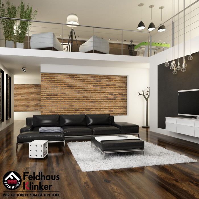 Кирпич клинкерный Feldhaus Klinker K665 sintra sabioso binaro 215х102х65 мм фото 10