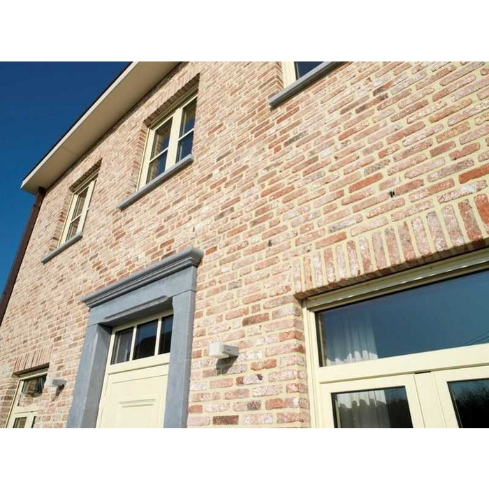 Кирпич облицовочный Terca Retro Pastorie, 188х88х48 мм фото 6