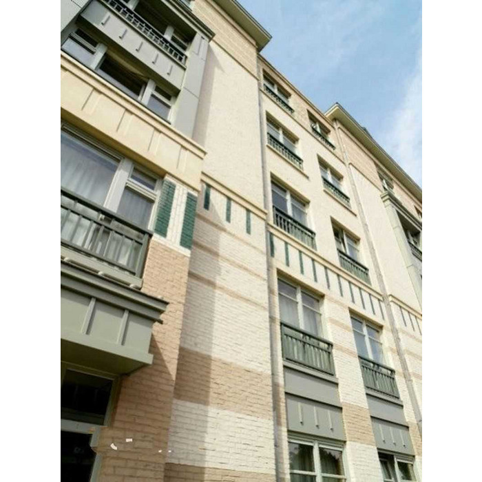 Кирпич облицовочный Terca Agora Super Wit, 215х45-50х65 мм фото 5