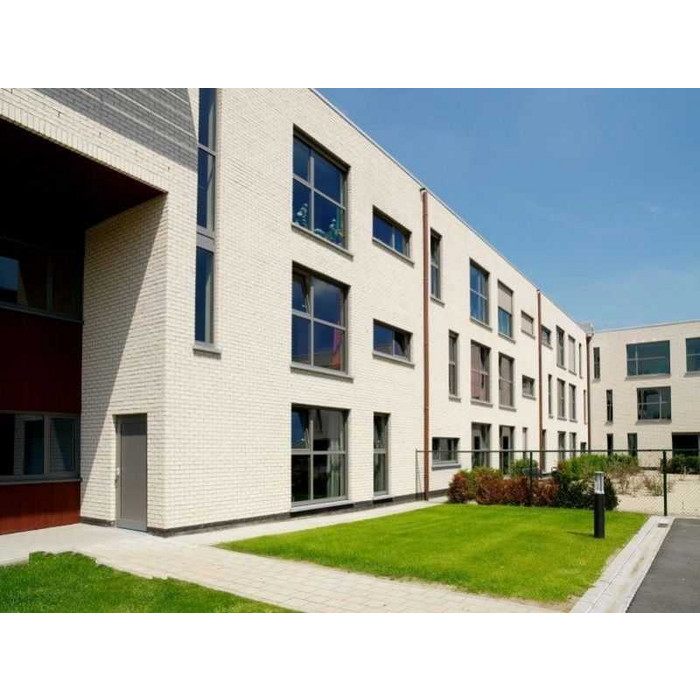 Кирпич облицовочный Terca Agora Super Wit, 215х45-50х65 мм фото 7