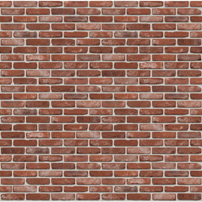 Кирпич S.Anselmo Antic Line MNWA, Selmo, 250х60х55 мм фото 2