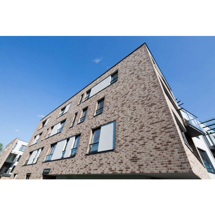 Кирпич клинкерный Feldhaus Klinker K932 vario geo carina NF 240х115х71 мм фото 5