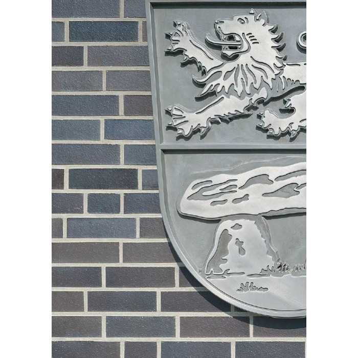 Кирпич клинкерный Muhr 15 Schwarz-bunt Edelglanz гладкий, 240х115х71 мм фото 3