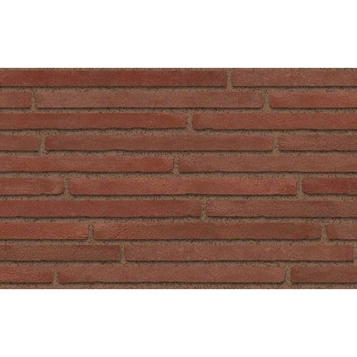 Кирпич S.Anselmo Corso Standart (Smooth) RR, 500х100х40 мм фото 2